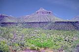 Big Bend 10